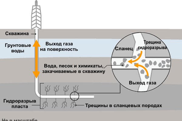 Kraken официальный